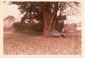 chai a blles chai a blles