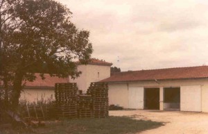 cuvier annes 80 cuvier annes 80