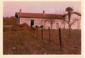 maison de près maison de près