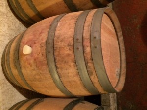 vin-medoc-barriques (1)