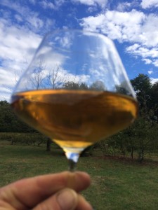 Chassagne montrachet 2002.JPG