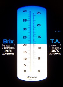 Vin medoc maturite merlot 7 sep 2015