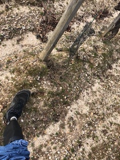 C'est quand même pas l'idéal