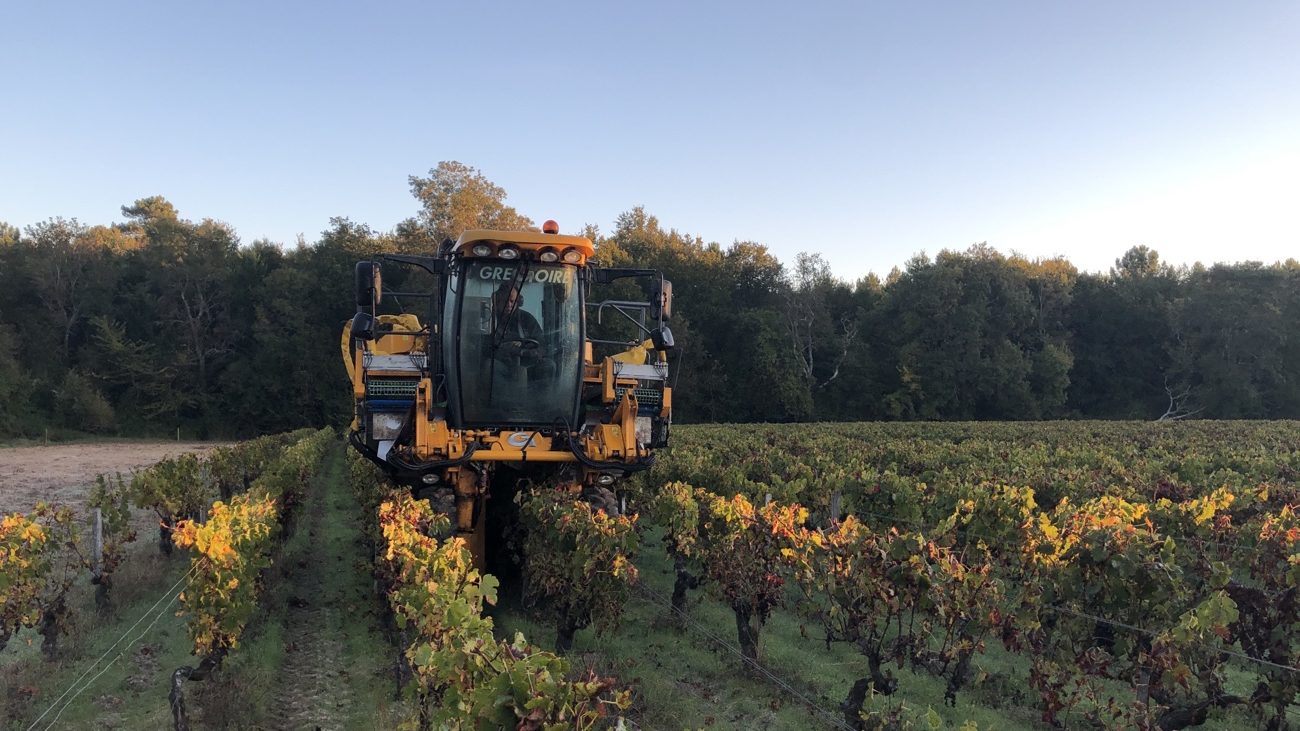 Rémy et sa Machine a vendanger